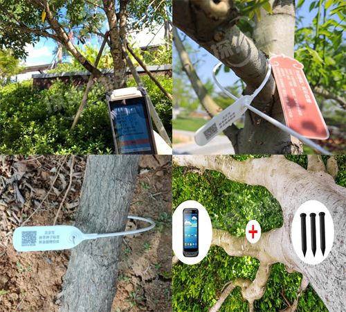 使用苗木电子标签管理,电子标签具体内容包括林木种子生产经营许可