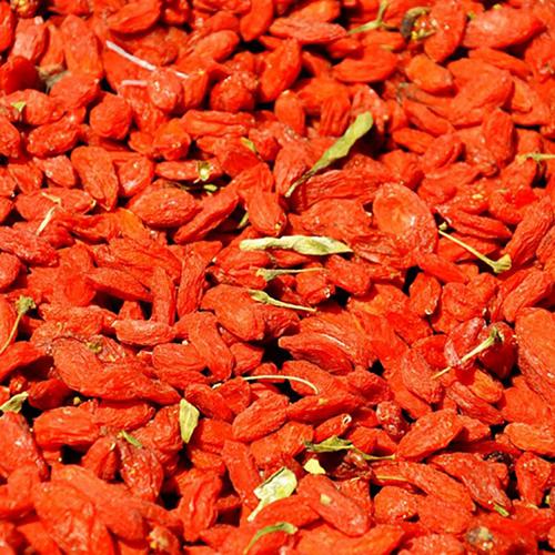 厂家批发林木种子 枸杞种子价格 包发芽 红枸杞种子销售
